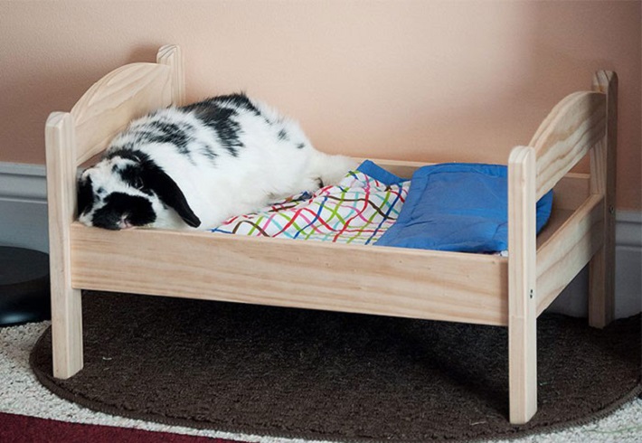 cat beds