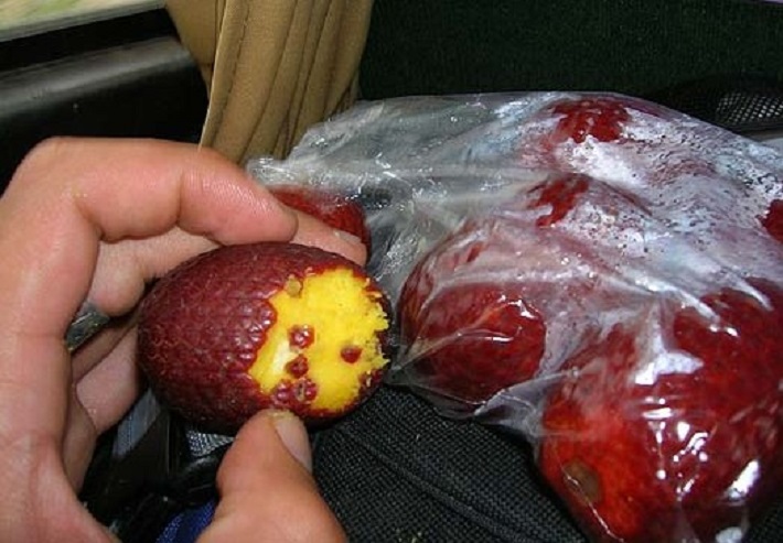 weird fruits