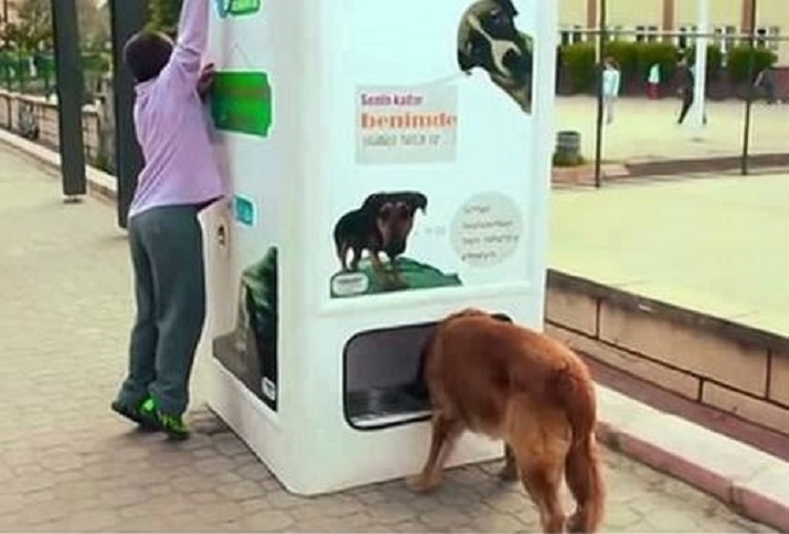vending machine for dogs