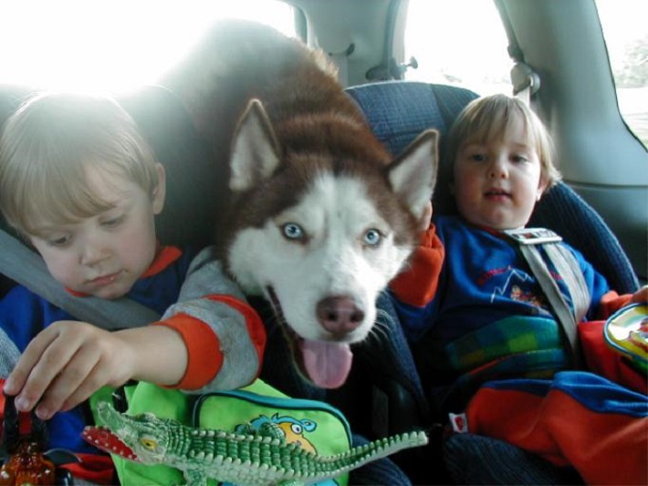 dogs and kids